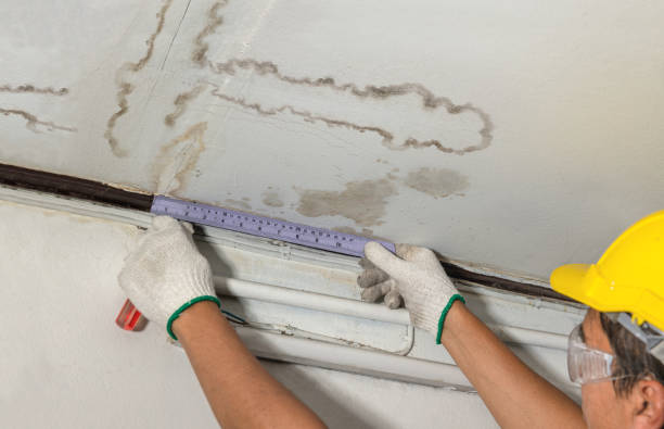 Reliable Water Removal contractor in Wolfe City, TX by Water Damage Irwin